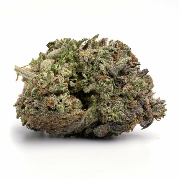 alien-og.jpg